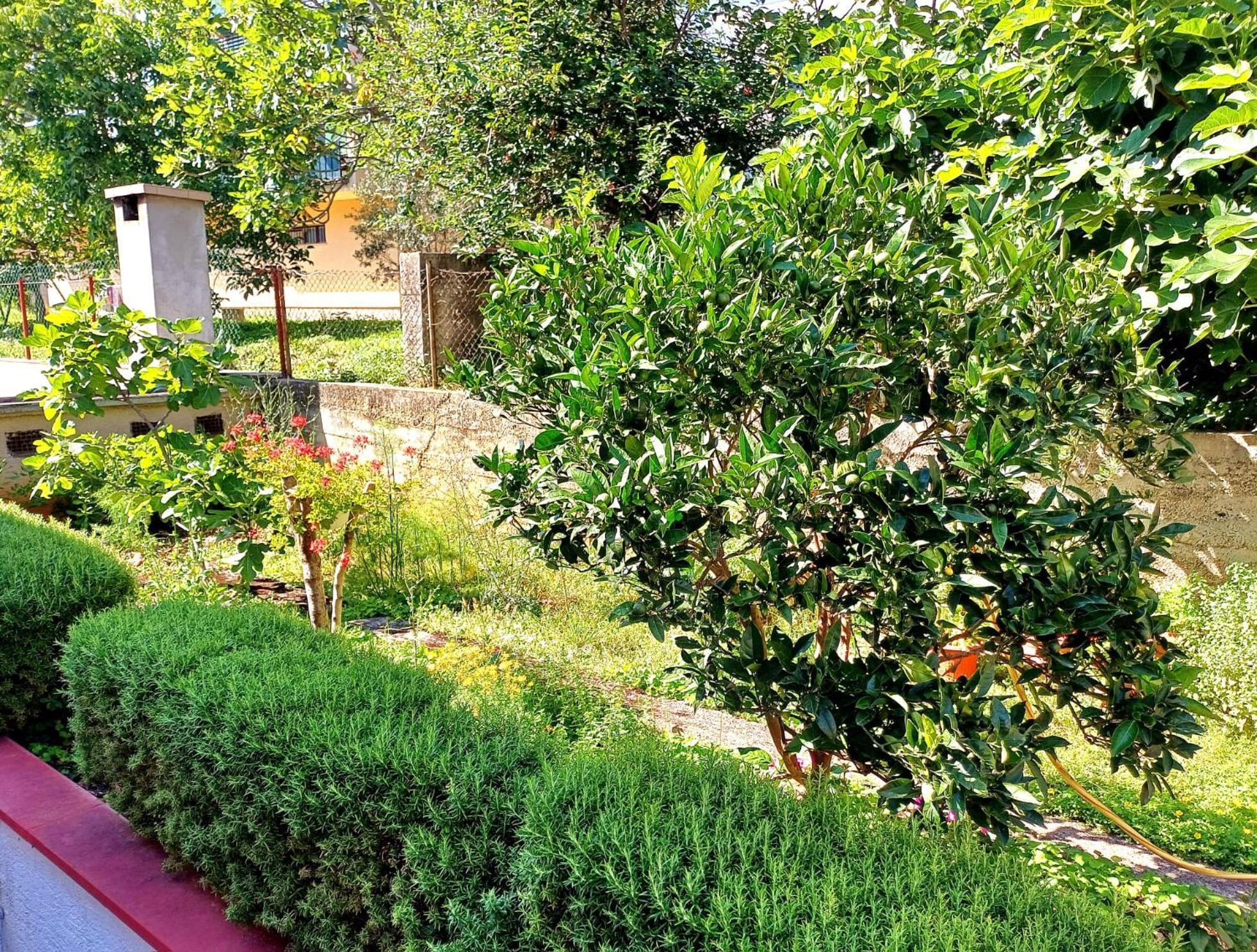 Adria Apartment ซริกเวนิซา ภายนอก รูปภาพ